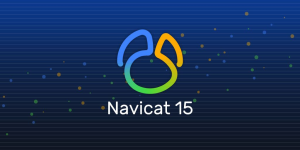 Navicat 15 破解教程