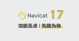 Navicat Premium 17.3.4 专业版下载及安装教程