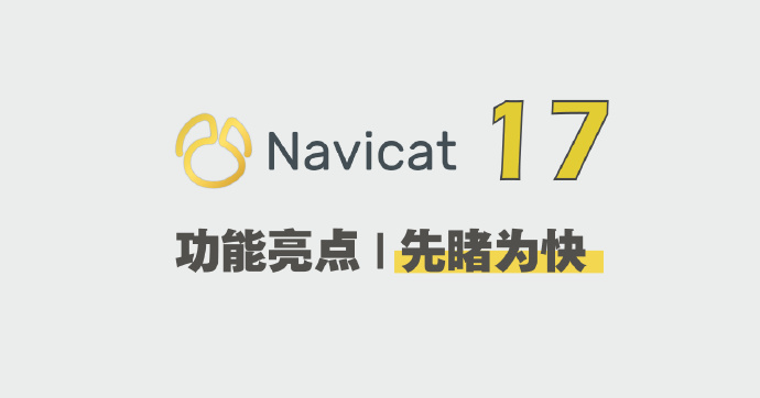 Navicat Premium 17 专业版下载及安装教程
