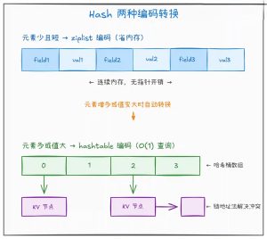 Redis 数据类型有哪几种?